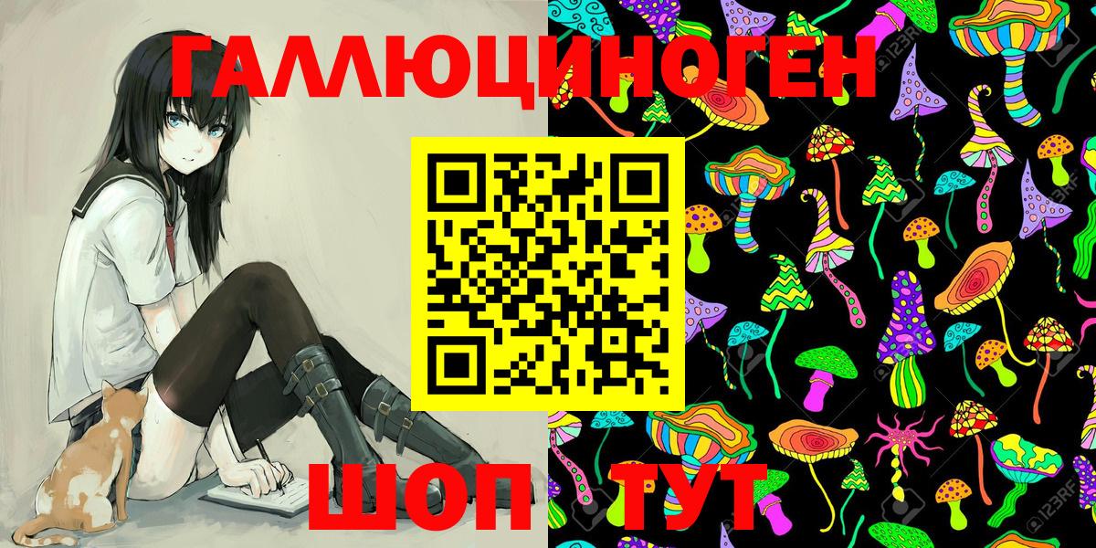 Галлюциногенные грибы Psilocybine cubensis Шелехов