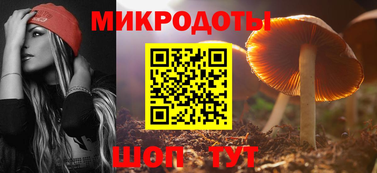 Псилоцибиновые грибы Psilocybine cubensis  Вход с VPN  Шелехов 